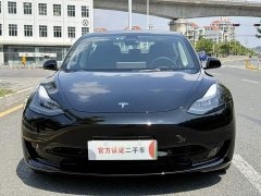 Tesla Model 3 Standard Range RWD Upgrade - ფოტო 3