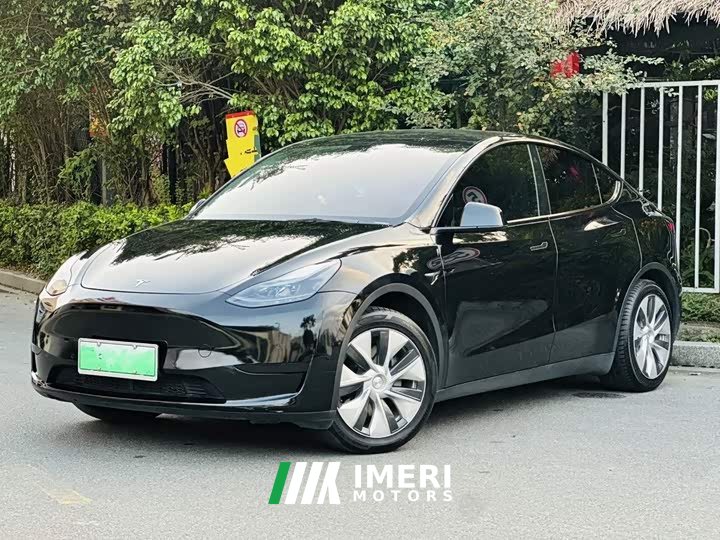 Tesla Model Y Rear-Wheel Drive