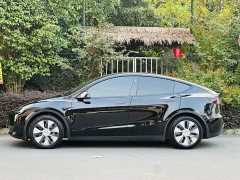 Tesla Model Y Rear-Wheel Drive - ფოტო 7