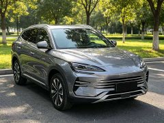 BYD Song Plus New Energy DM-i 160KM Premier Plus - ფოტო 3