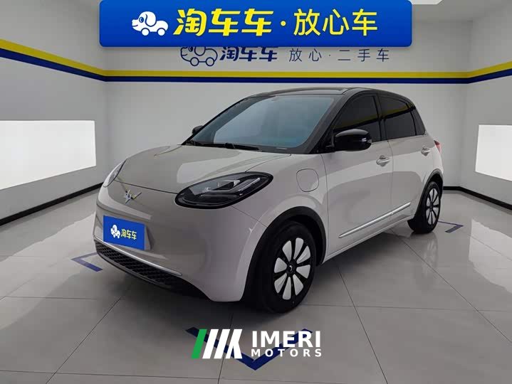 Wuling Binguo 333km Joy Edition