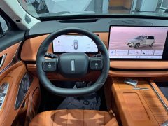 Great Wall WEY Blue Mountain Intelligent Advanced Edition Four-Wheel Drive Max - ფოტო 14