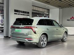 Great Wall WEY Blue Mountain Intelligent Advanced Edition Four-Wheel Drive Max - ფოტო 5