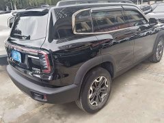 Great Wall Dachshund 2.0T DCT Chinese Rural Dog Edition - ფოტო 13