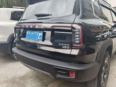 Great Wall Dachshund 2.0T DCT Chinese Rural Dog Edition - ფოტო 15