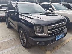 Great Wall Dachshund 2.0T DCT Chinese Rural Dog Edition - ფოტო 3