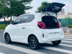 SAIC Clever 311km Vitality Pop Edition - ფოტო 10