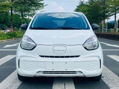 SAIC Clever 311km Vitality Pop Edition - ფოტო 2