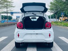 SAIC Clever 311km Vitality Pop Edition - ფოტო 9