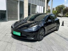 Tesla Model 3 Rear-Wheel Drive - ფოტო 1