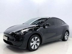 Tesla Model Y 2023 Rear-Wheel Drive - ფოტო 1