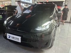 Tesla Model Y Rear-Wheel Drive - ფოტო 1
