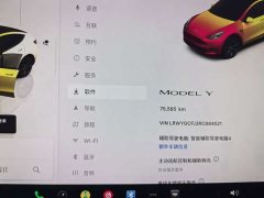 Tesla Model Y Rear-Wheel Drive - ფოტო 8