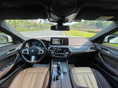 BMW 5 Series 530Li Premier M Sport Package - ფოტო 13