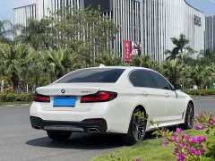 BMW 5 Series 530Li Premier M Sport Package - ფოტო 6