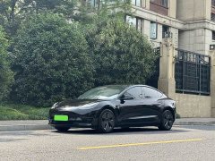 Tesla Model 3 2022 Rear-Wheel Drive - ფოტო 2