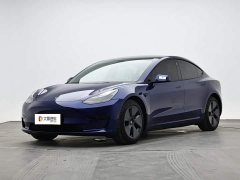 Tesla Model 3 Standard Range RWD Upgrade - ფოტო 1
