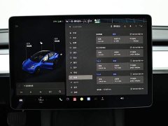 Tesla Model 3 Standard Range RWD Upgrade - ფოტო 10