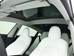 Tesla Model 3 Standard Range RWD Upgrade - ფოტო 12