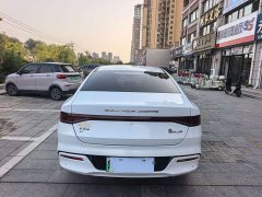 BYD Qin PLUS EV 510KM Travel Edition - ფოტო 8
