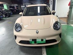 ORA Good Cat 430km Deluxe Edition - ფოტო 1