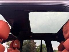 Li Auto L8 2023 Max - ფოტო 13
