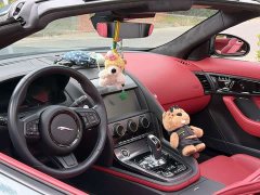Jaguar F-TYPE P300 75 Edition - ფოტო 7