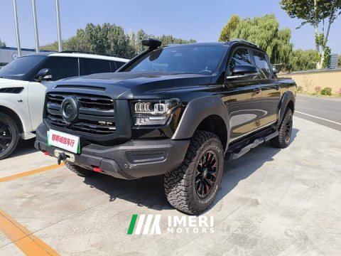 2025 Shanhai Cannon Shanhai Pao Hi4-T Performance Edition - ავტომობილი ჩინეთიდან