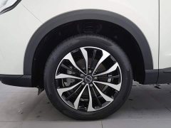 SAIC RX5 MAX Supreme 300TGI Edition - ფოტო 17
