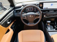 Lexus ES 260 Excellence Edition - ფოტო 18