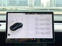 Tesla Model Y Rear-Wheel Drive - ფოტო 11