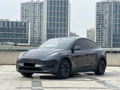 Tesla Model Y Rear-Wheel Drive - ფოტო 3
