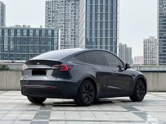 Tesla Model Y Rear-Wheel Drive - ფოტო 4