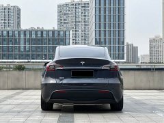 Tesla Model Y Rear-Wheel Drive - ფოტო 5