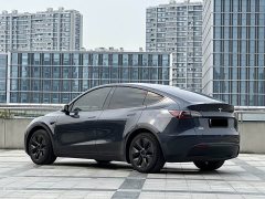 Tesla Model Y Rear-Wheel Drive - ფოტო 6