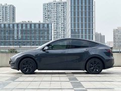 Tesla Model Y Rear-Wheel Drive - ფოტო 7