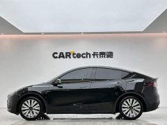 Tesla Model Y 2023 Rear-Wheel Drive - ფოტო 2