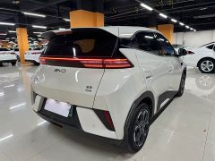 BYD Seagull Smart Drive 405km Flight Edition - ფოტო 16