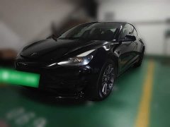 Tesla Model 3 Standard Range RWD Upgrade 3D6 - ფოტო 1