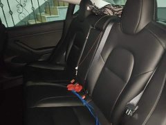Tesla Model 3 Standard Range RWD Upgrade 3D6 - ფოტო 13
