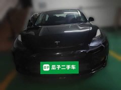 Tesla Model 3 Standard Range RWD Upgrade 3D6 - ფოტო 2