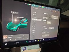 Tesla Model 3 Standard Range RWD Upgrade 3D6 - ფოტო 20
