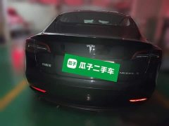 Tesla Model 3 Standard Range RWD Upgrade 3D6 - ფოტო 3