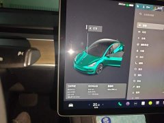 Tesla Model 3 Standard Range RWD Upgrade 3D6 - ფოტო 7