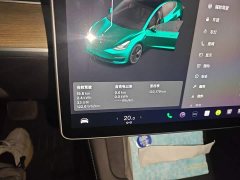 Tesla Model 3 Standard Range RWD Upgrade 3D6 - ფოტო 8