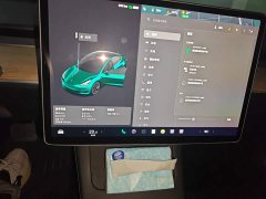 Tesla Model 3 Standard Range RWD Upgrade 3D6 - ფოტო 9