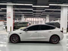 Tesla Model 3 2021 Standard Range RWD Upgrade 3D6 - ფოტო 16