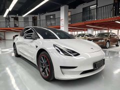 Tesla Model 3 2021 Standard Range RWD Upgrade 3D6 - ფოტო 3
