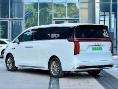 Great Wall WEY Shanshan New Energy Four-Wheel Drive Shanshan 8 - ფოტო 7
