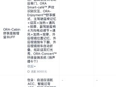ORA Good Cat GT 2022 Mulan Edition 480km Long Range - ფოტო 10